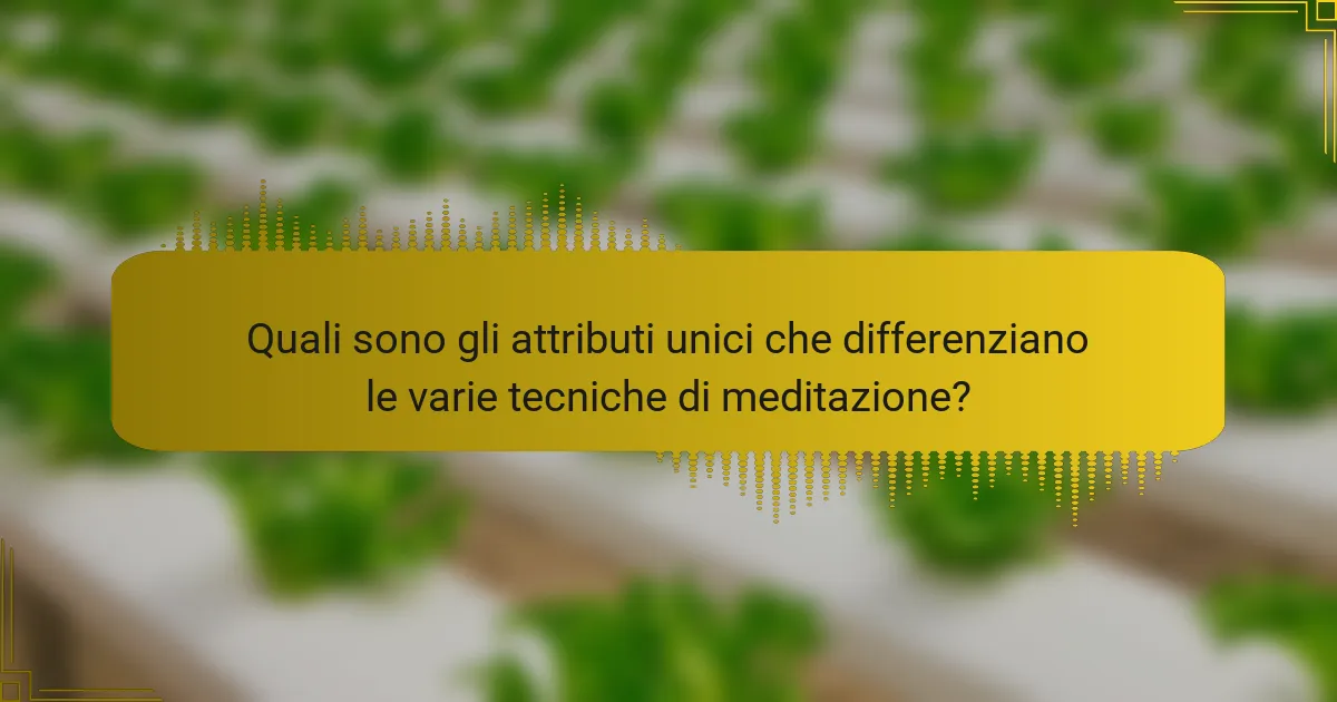 Quali sono gli attributi unici che differenziano le varie tecniche di meditazione?